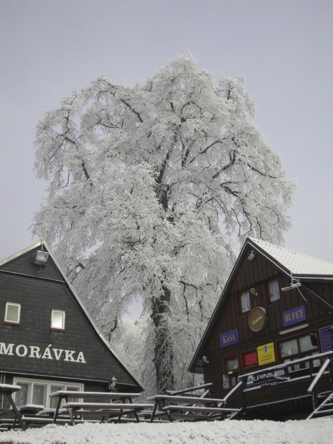 Chata Moravka Rejdice Kořenov Exterior foto