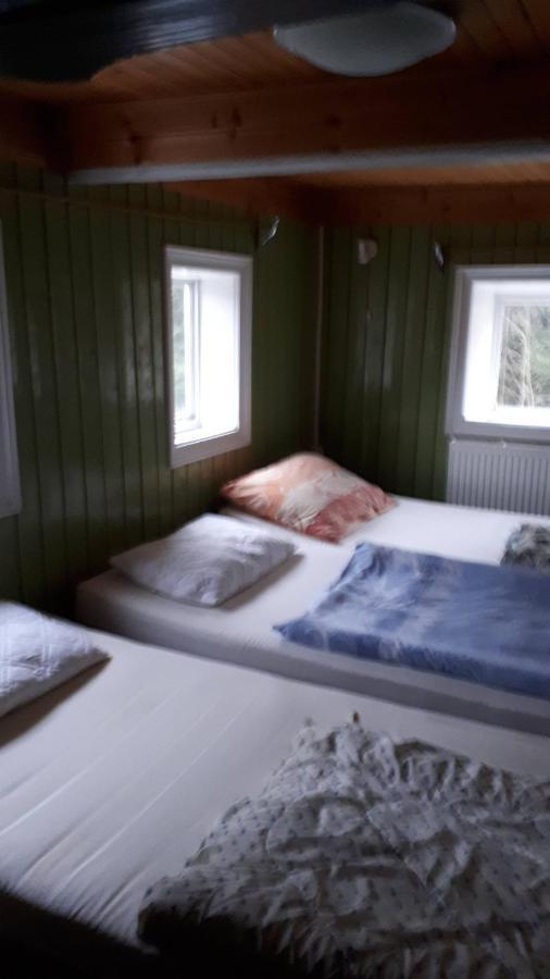 Chata Moravka Rejdice Kořenov Exterior foto